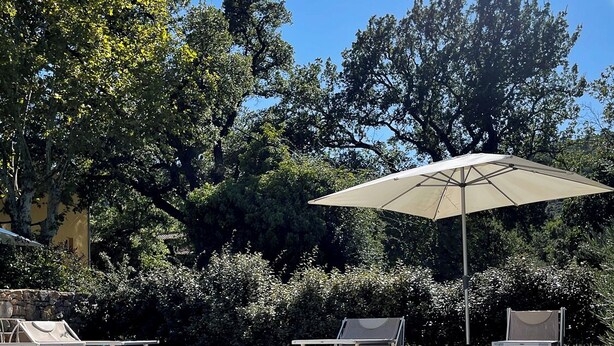 A clear swimming pool with wooden deck and lounge chairs, surrounded by trees and a stone wall.
