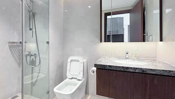 Shower, hair dryer, slippers, towels