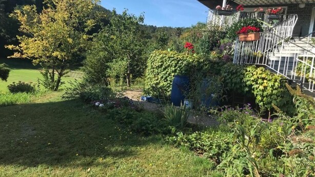 A garden with a variety of plants and flowers, a white staircase leading to a building, and a clear blue sky. - 2 bedrooms in Breuberg Odenwald (Breuberg)