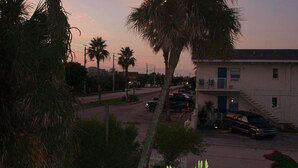 A view of a building with a white exterior and a balcony, surrounded by palm trees and a street with parked cars.