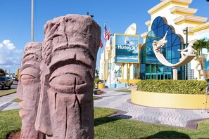 Serviço de traslado de/para o shopping center
