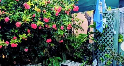 Treehouse Condo 2nd Floor Balcony sleeps 6 free parking