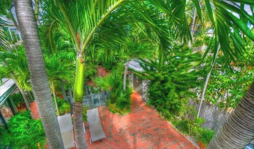 Treehouse Condo 2nd Floor Balcony sleeps 6 free parking