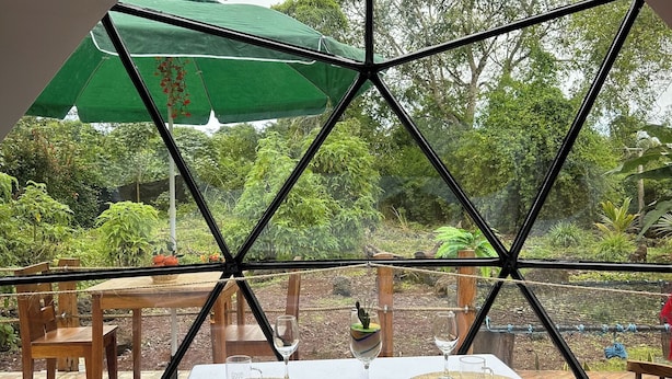 A dining area with a table set for two, surrounded by wooden chairs, under a green umbrella.