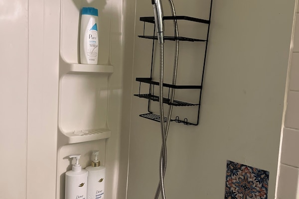 Secador de pelo, toallas, shampoo, papel higiénico