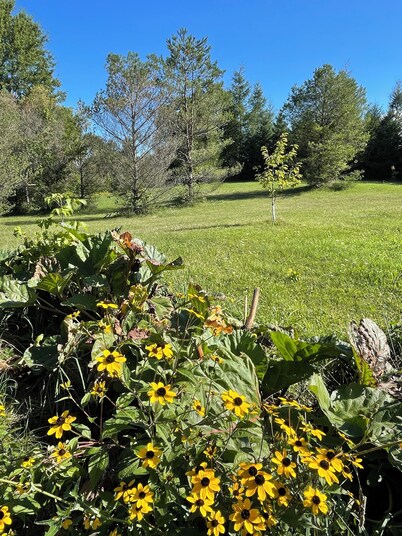 Charming bungalow on 4.5acres, trails, lakes and more near Markdale