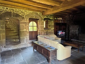 Smart TV, fireplace, DVD player, books