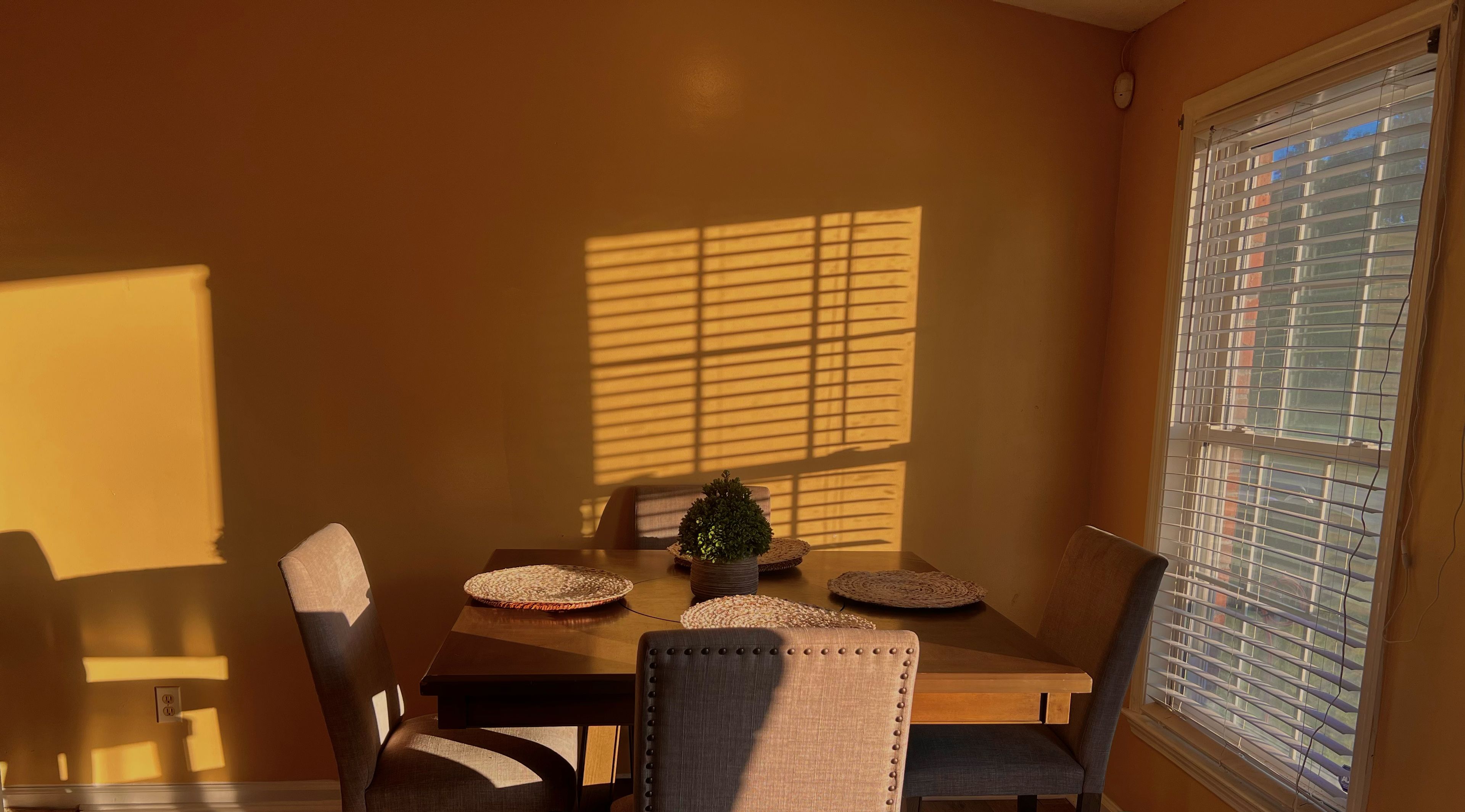 Un comedor con una mesa y sillas de madera, una planta en maceta y una ventana con persianas.