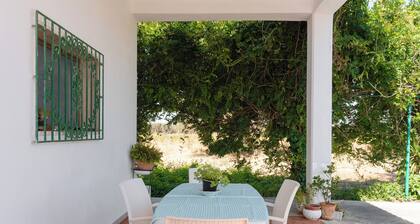 DOMITIA HOUSE