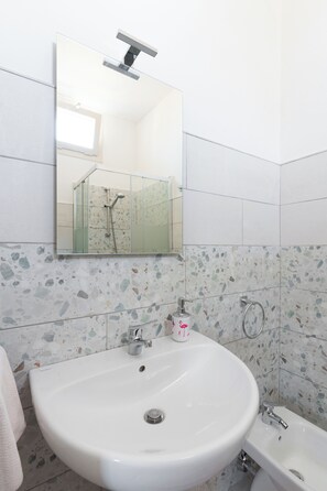 Shower, hair dryer, bidet, towels
