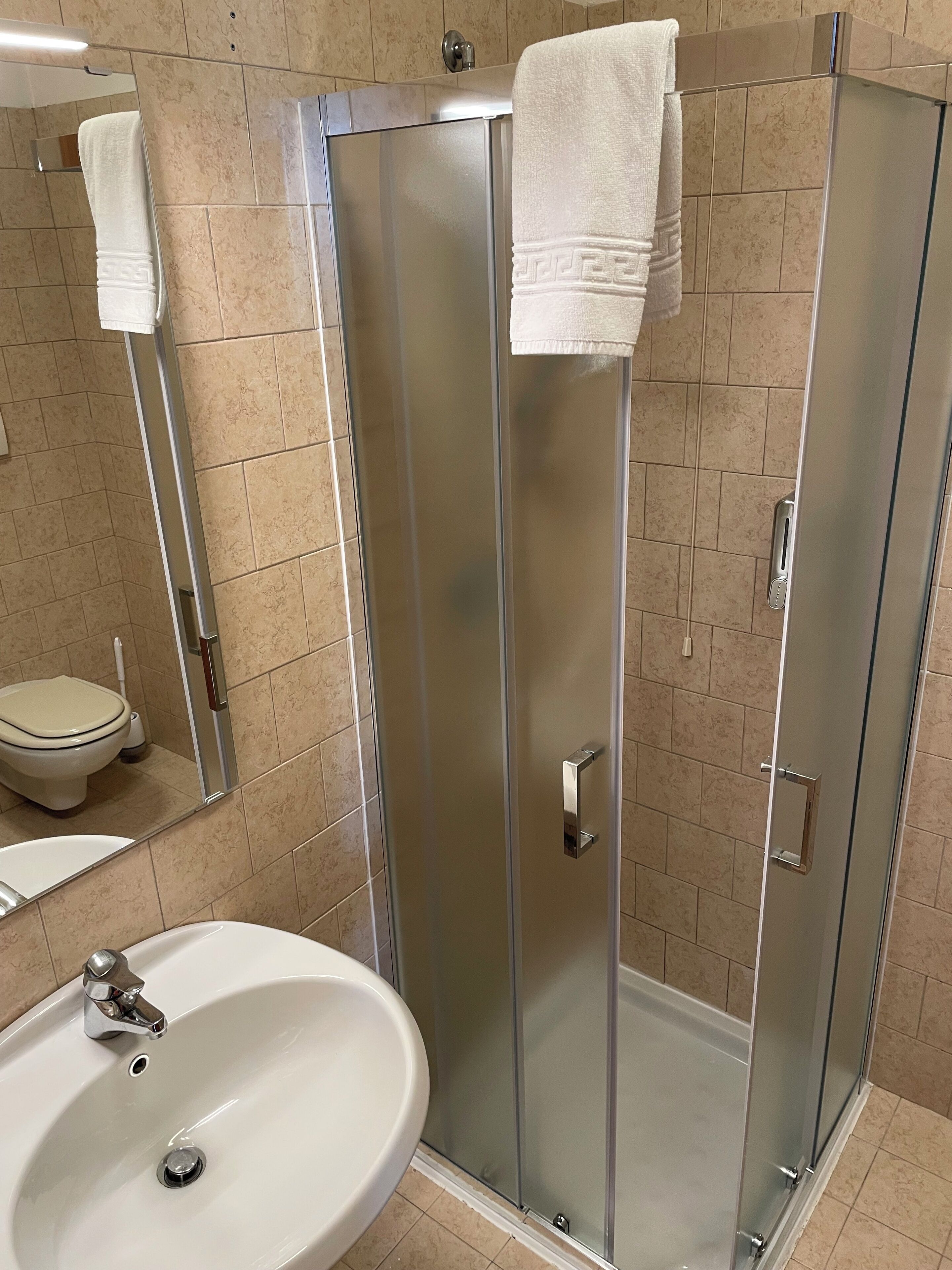 A bathroom with a glass-enclosed shower, a sink, and a toilet.