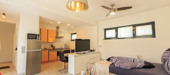 “Jupiter” Loft – quiet courtyard, free gym & parking