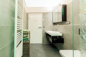 Ducha, secador de pelo, toallas