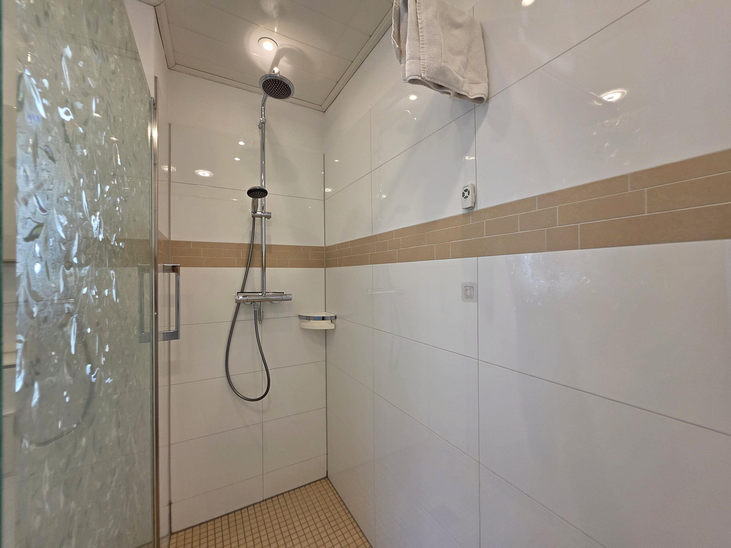 A shower with a handheld showerhead, a glass door, and a towel hanging on the wall.