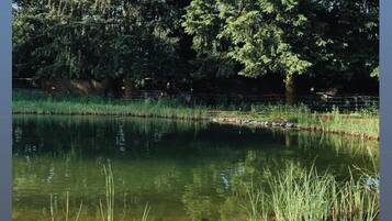 A natural landscape with a pond, trees, and grassy areas.