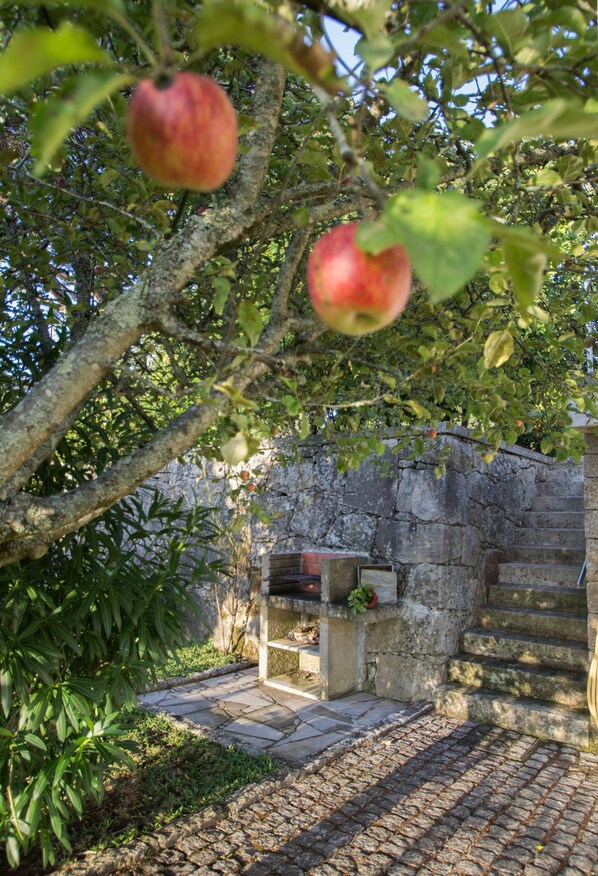 Terrace/patio - Crane House (Ponte de Lima)