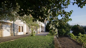 Una propiedad residencial con un camino pavimentado, un césped cuidado y diversas especies de árboles.