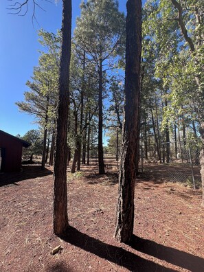 المنطقة المحيطة بالمنشأة