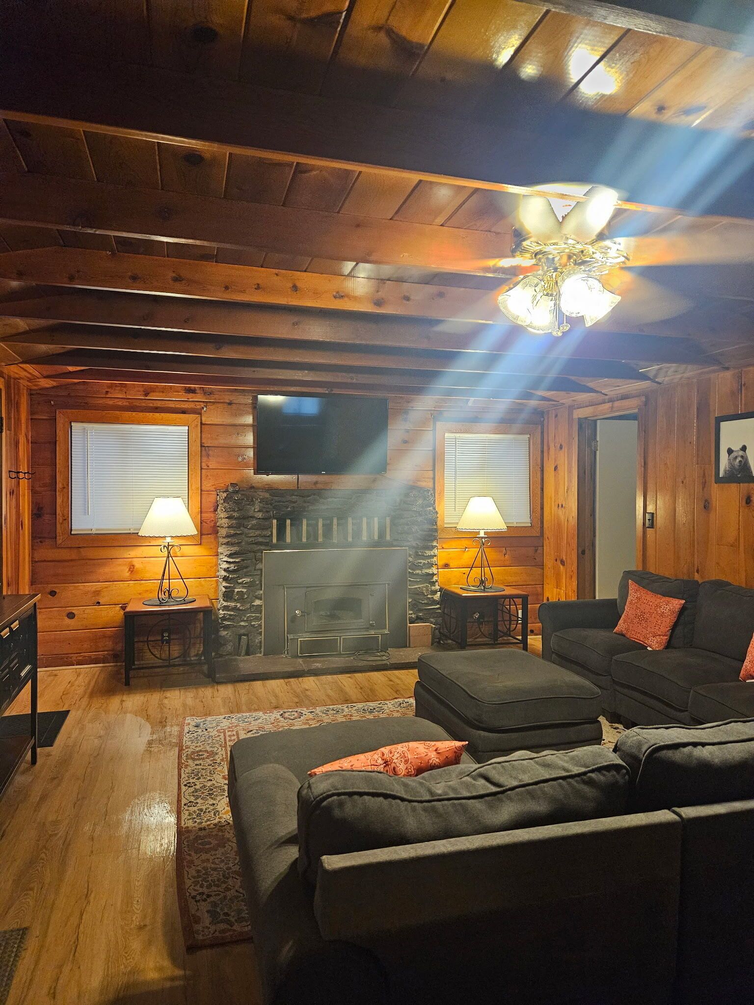 Smart TV, fireplace, DVD player, books