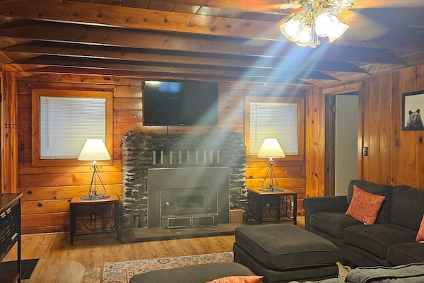 TV connectée, cheminée, lecteur de DVD, livres