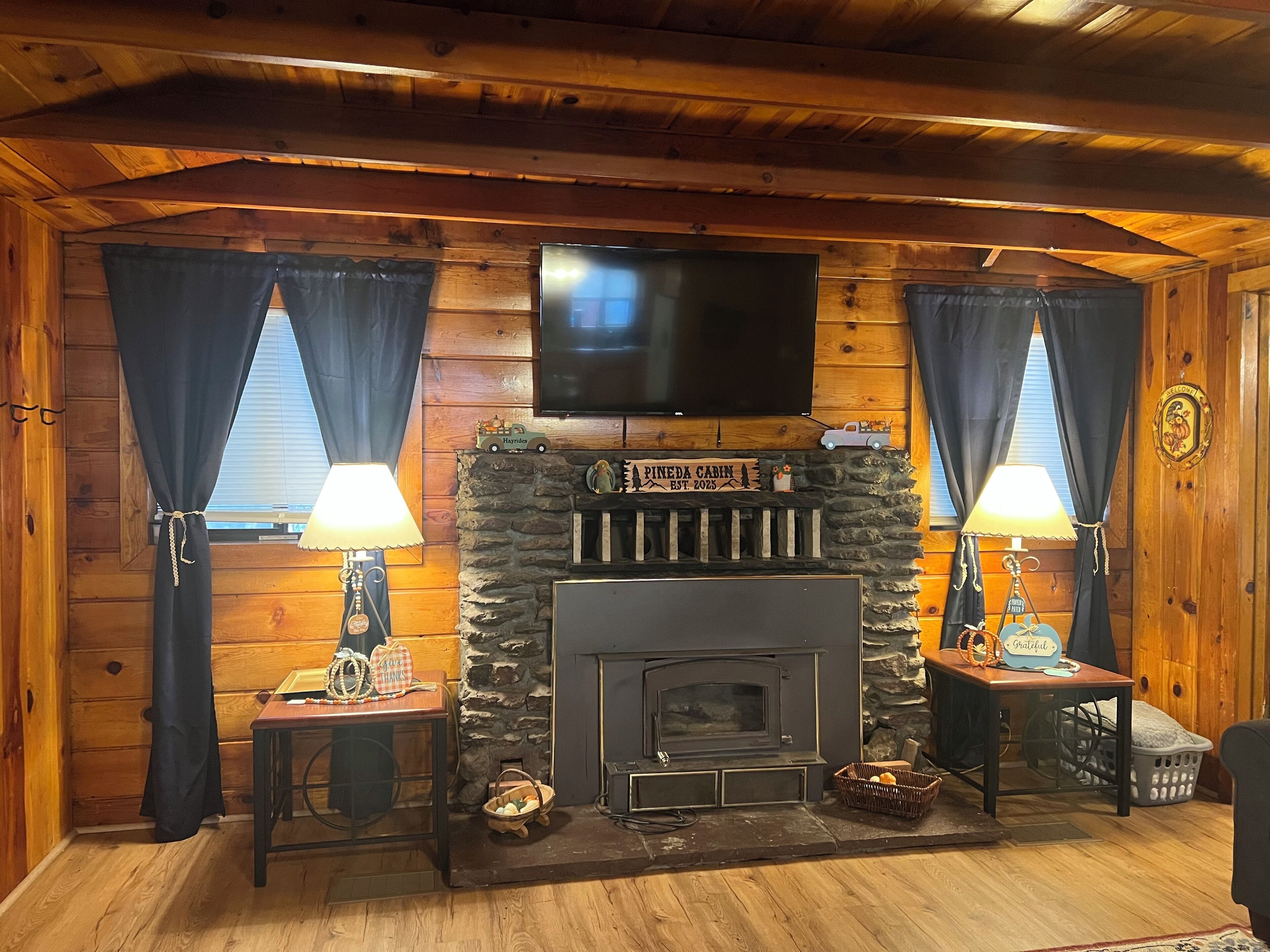 Smart TV, chimenea, reproductor de DVD, libros