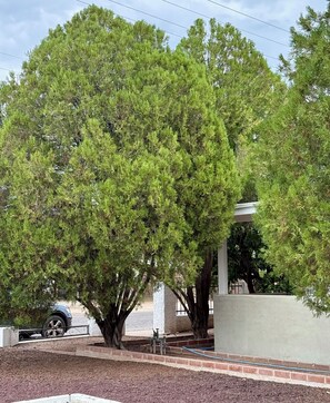 Terrain de l’hébergement 