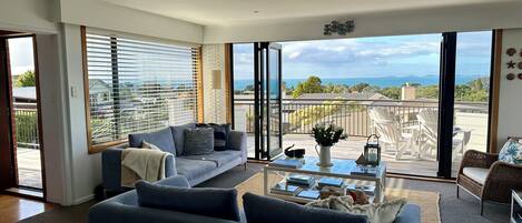 Televisión y chimenea