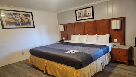 Soundproofing, iron/ironing board, free WiFi, wheelchair access