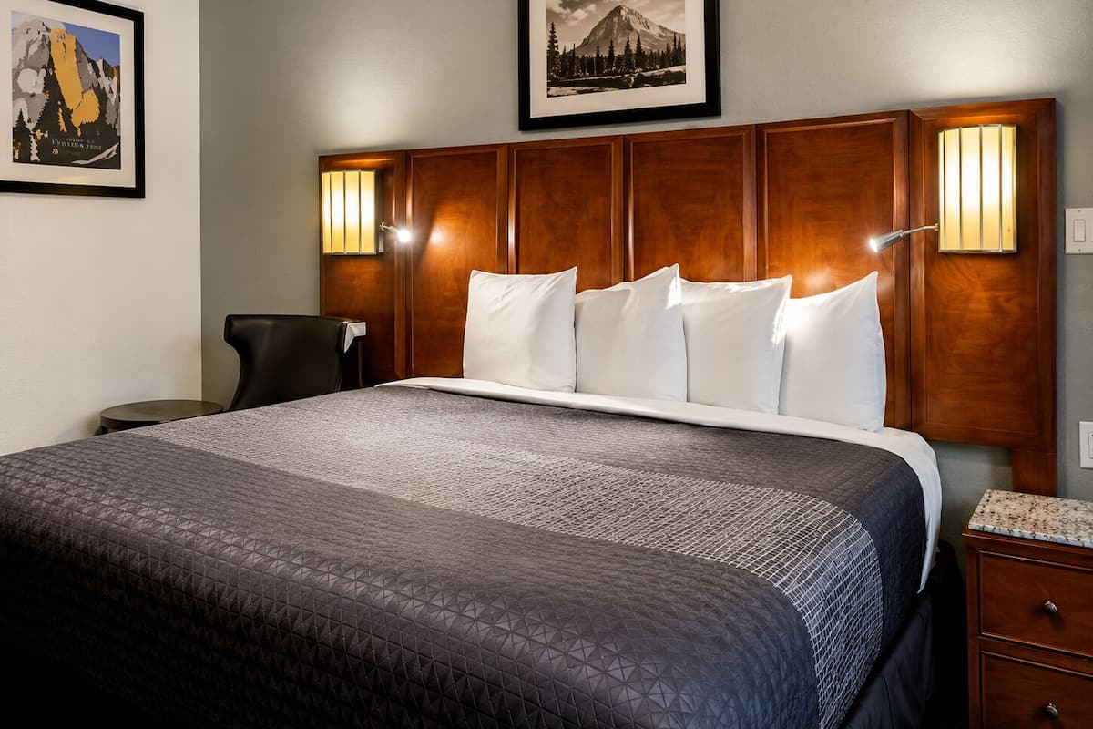 Chambre Double, 1 très grand lit, animaux de compagnie acceptés | Bureau, espace de travail pour ordinateur portable