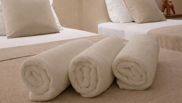Standard Double or Twin Room, Patio, Pool View | WiFi (free) - Chulel Hotel Origen (Mérida)