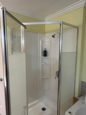 Regadera, toallas, jabón, shampoo 