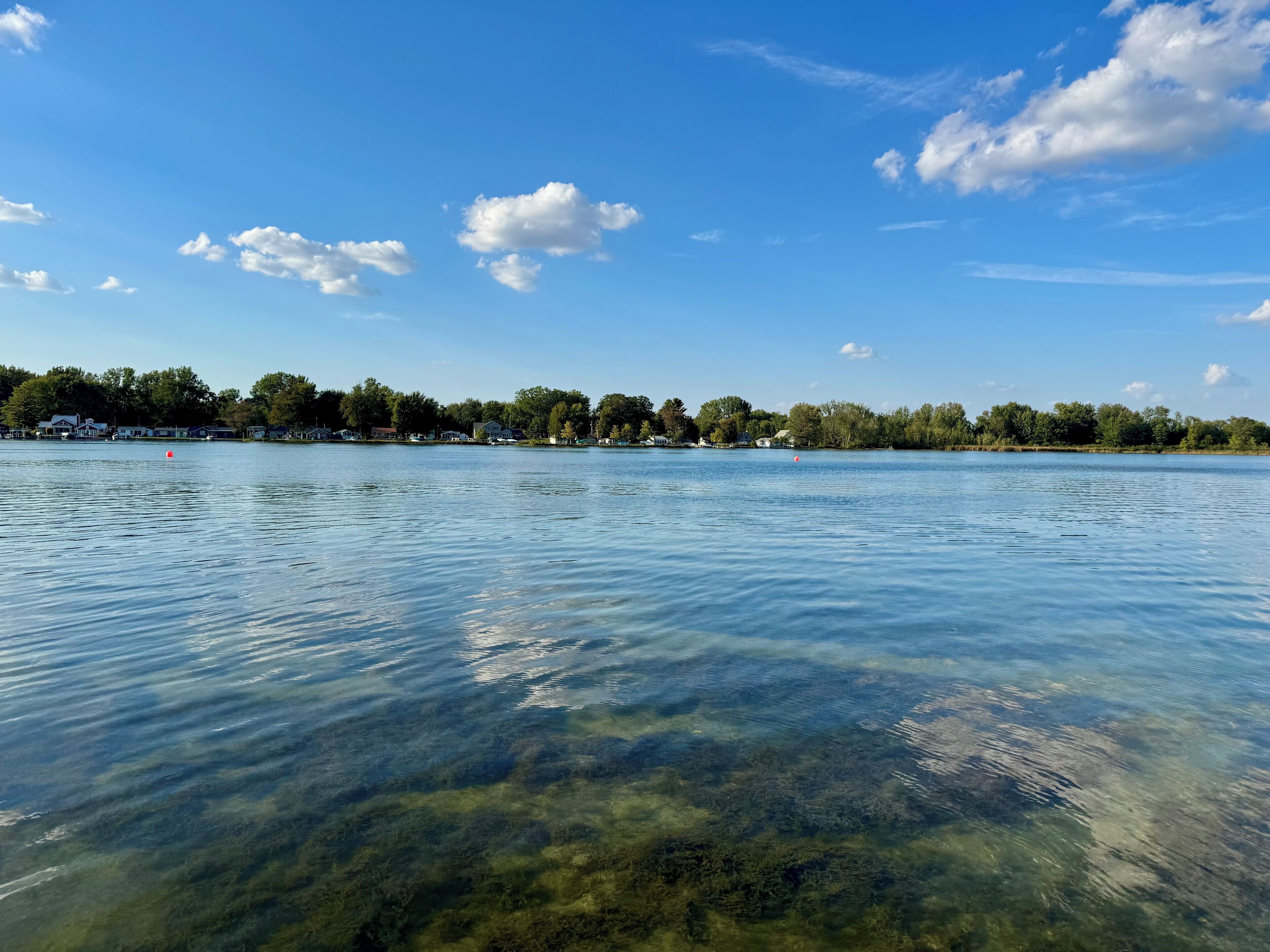 A clear lake with a residential area in the background.