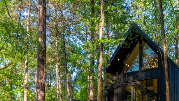 Eine Holzhütte mit einer Treppe, die zu einer Holzterrasse inmitten von Bäumen führt.