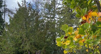 3-bedroom house in Bremerton with view of Seattle
