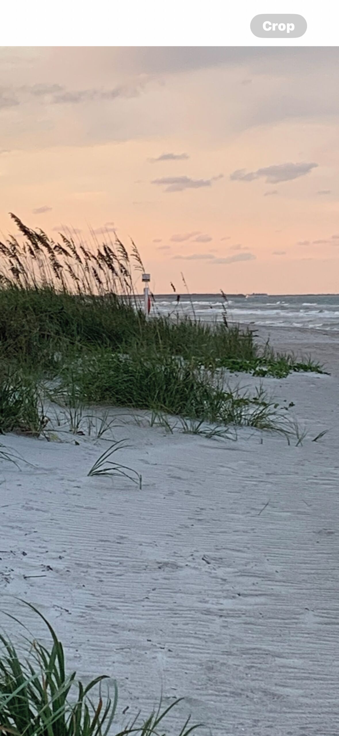 Beach nearby, sun loungers, beach towels