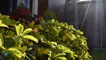 Details aan de buitenkant