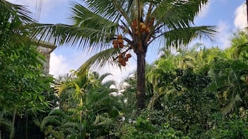 Área da propriedade