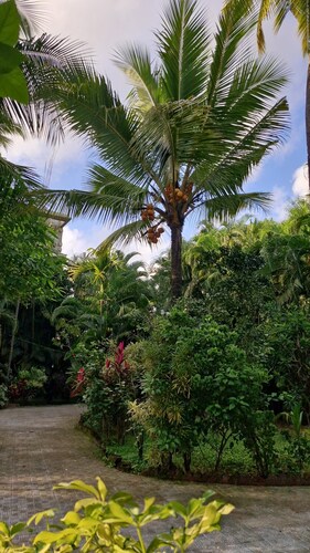 Janki's hideout
Nature & Peaceful vibe – for people seeking relaxation and calm.