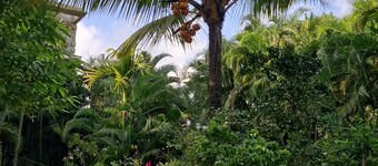 Janki's hideout
Nature & Peaceful vibe – for people seeking relaxation and calm.