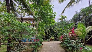 A paved pathway flanked by lush greenery and a building with a blue door. - Janki's hideout
Nature & Peaceful vibe – for people seeking relaxation and calm. (Palolem, south goa)