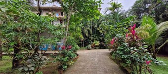 Janki's hideout
Nature & Peaceful vibe – for people seeking relaxation and calm.