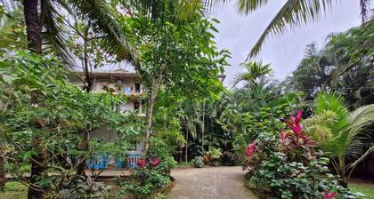 Janki's hideout
Nature & Peaceful vibe â for people seeking relaxation and calm.