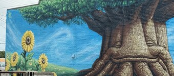 Charming 2-bedroom apartment in Osawatomie! Newly renovated! Great location!