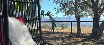 Cozy Mysa Ranch Farm House with magical views