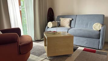 Fernseher