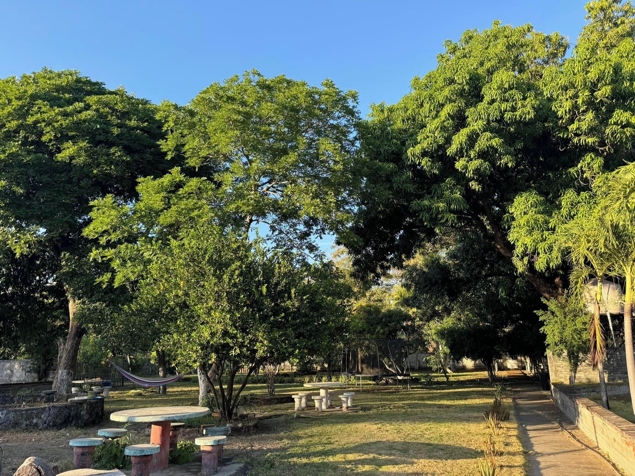 A park with picnic tables and a hammock.