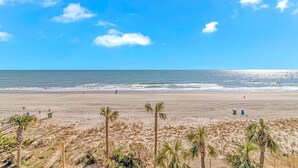 Une plage bordée de palmiers, une clôture et un ciel dégagé.