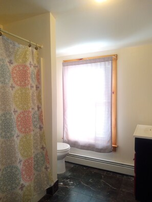 Hair dryer, towels, soap, toilet paper