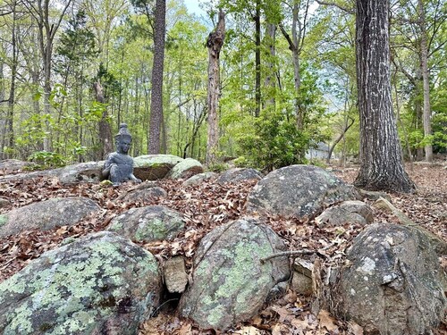 Exclusive Hideaway in North Carolina 1378