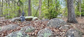 Exclusive Hideaway in North Carolina 1378